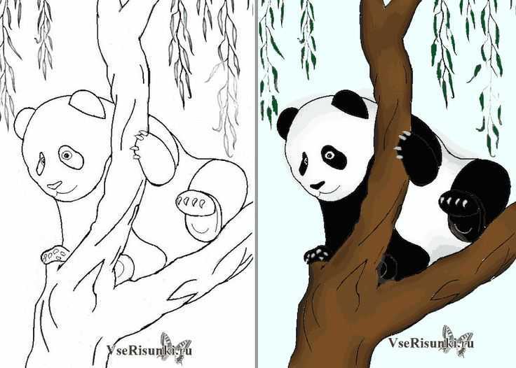 Как нарисовать панду карандашом поэтапно для начинающих? как нарисовать панду кунфу и милую панду?