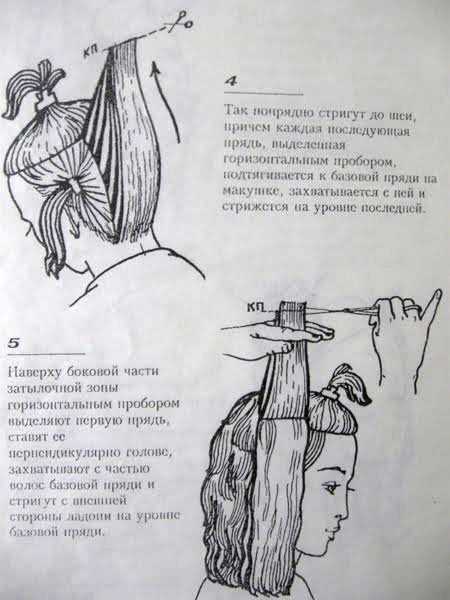 Курсовая работа на тему стрижка на длинных волосах