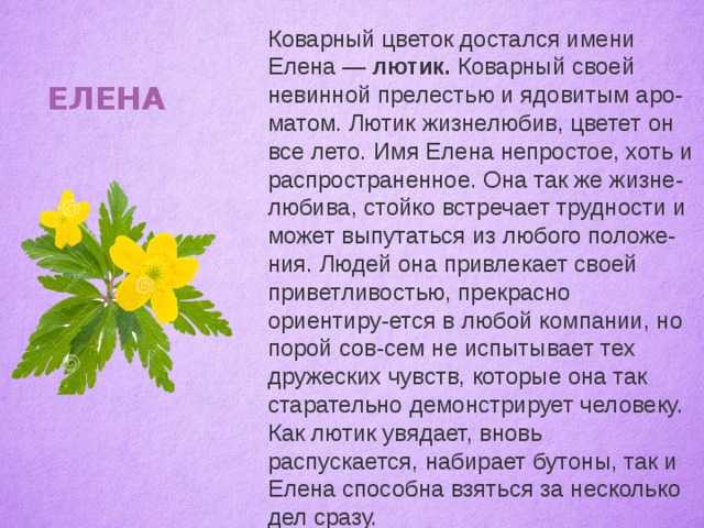 Значение имени елена для девочки: характеристика, характер и судьба - nameorigin.ru