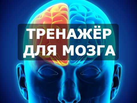 25 когнитивных упражнений для пластичности мозга