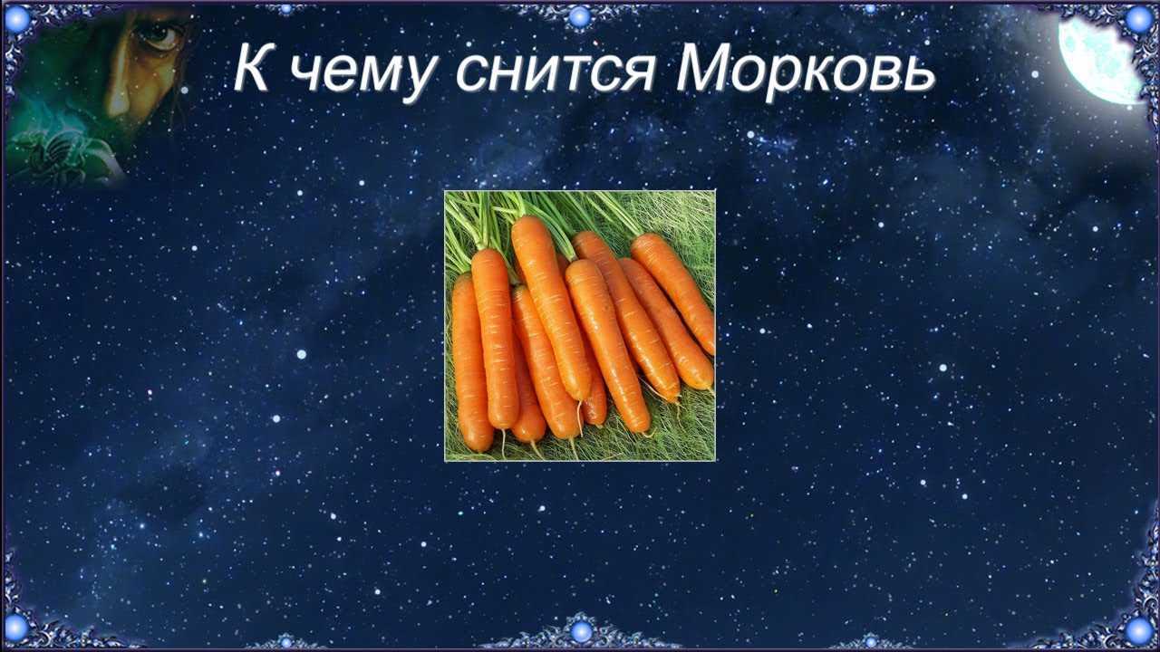 К чему снится морковь свежая