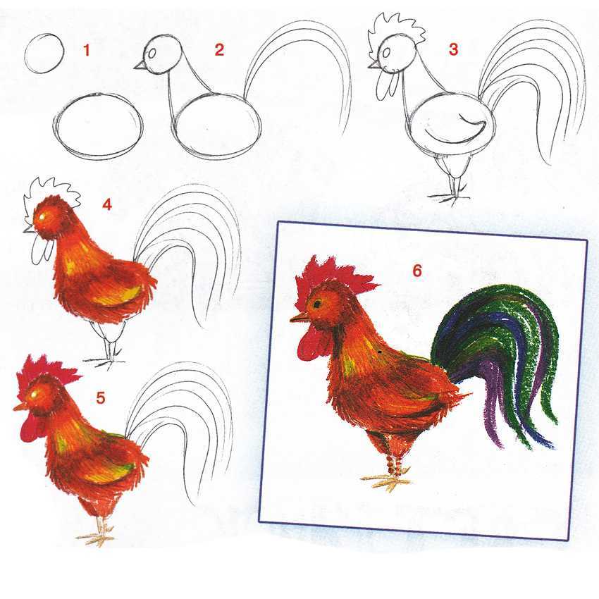 Как нарисовать птицу карандашом: поэтапно для детей