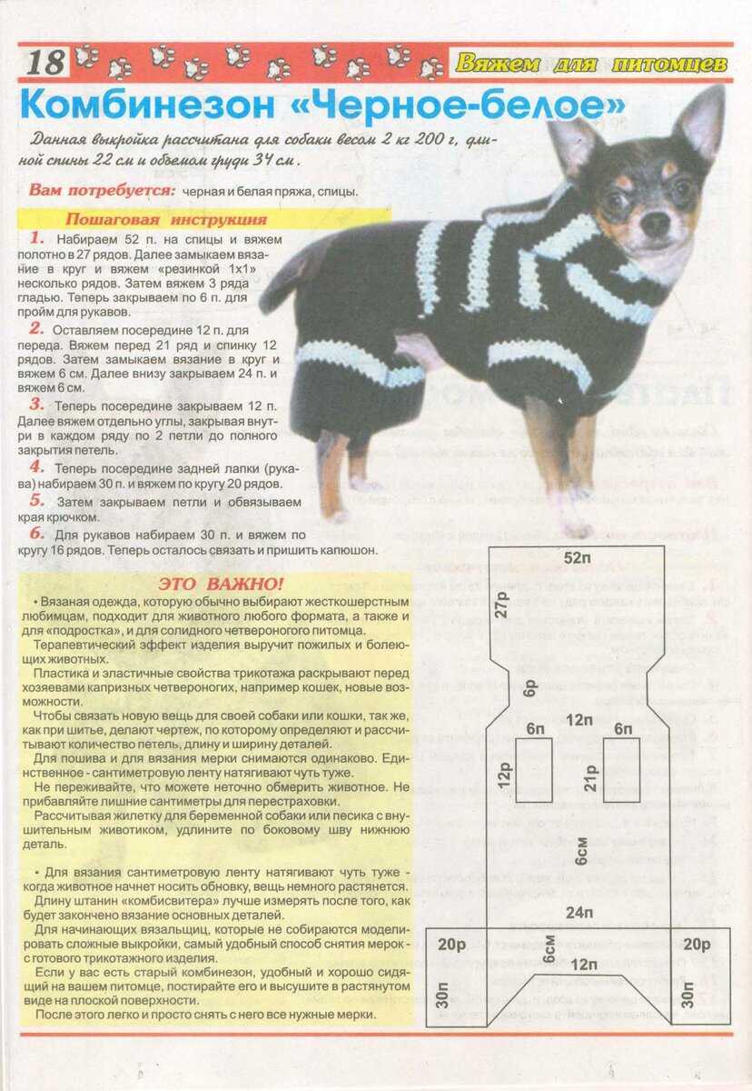 Вязаная одежда для собак маленьких пород своими руками спицами и схемы