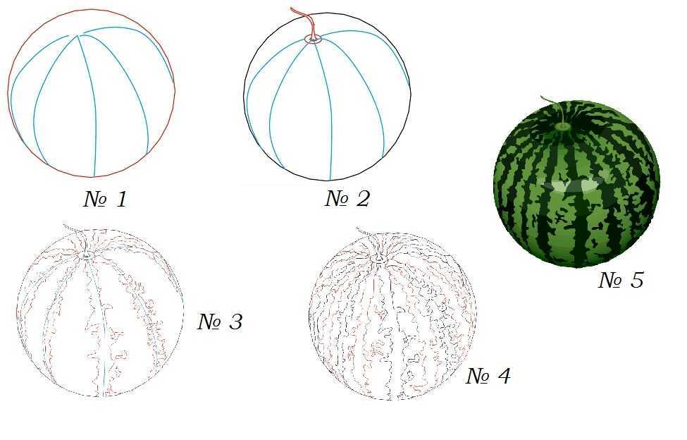 Как нарисовать арбуз поэтапно