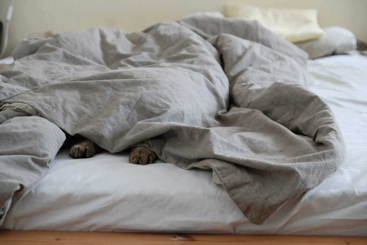 «одеяло к чему снится во сне? если видишь во сне одеяло, что значит?»