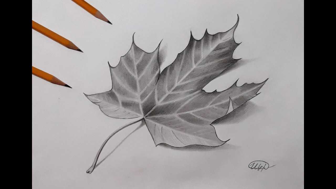 Рисование осенних листьев для детей методом "тычка" пошагово с фото