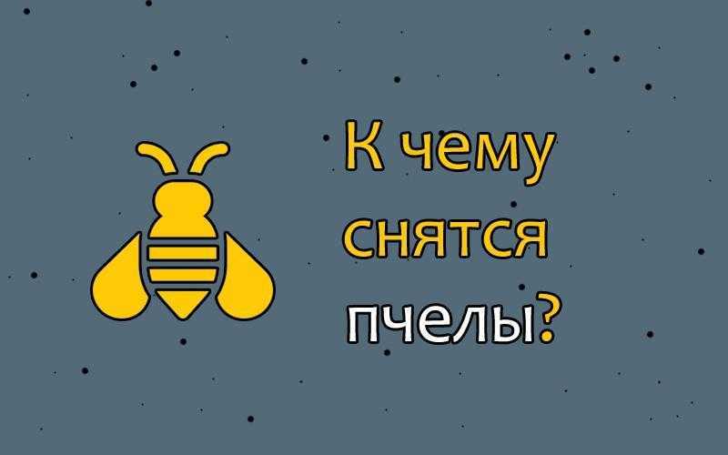 К чему снятся пчелы: толкование снов о пчелах по сонникам | пчелы | пчеловод.ком