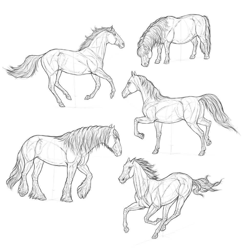 Уроки рисования лошади