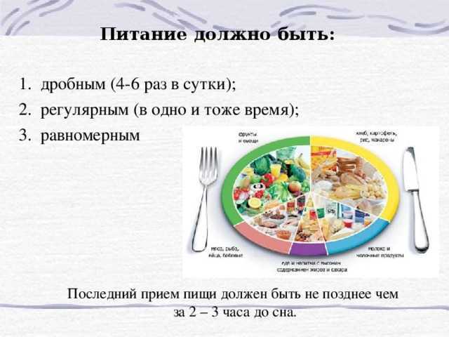 Режим питания: когда, сколько и зачем кушать