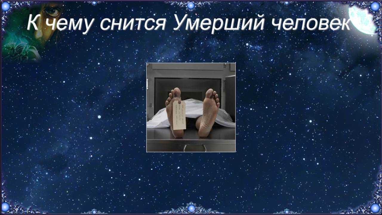 Почему снятся покойники живыми, и что означают сны об умерших: толкование снов о покойниках по соннику нострадамуса, ванги, фрейда и китайскому соннику
