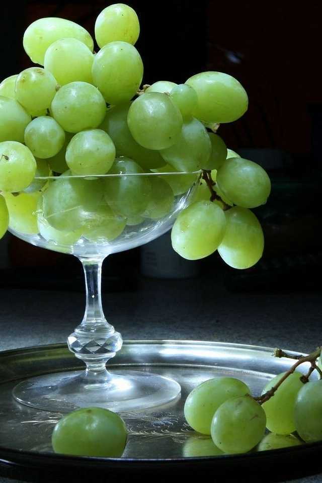 Сонник: приснился виноград. к чему снится виноград, гроздья винограда, крупный, мелкий?